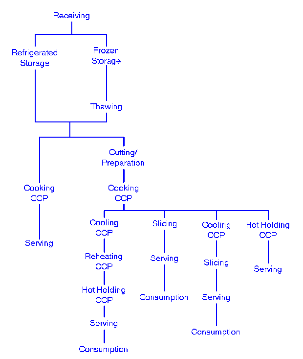 Haccp Flow Chart For Chicken Curry